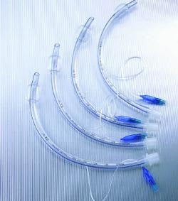 טובוס עם בלון מס` 6.5